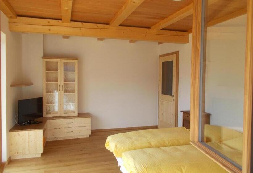 带1个卧室带观景的公寓, Pichlerhof