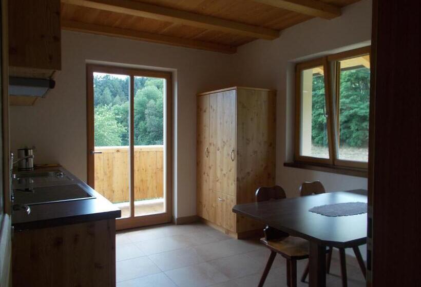 带1个卧室带观景的公寓, Pichlerhof