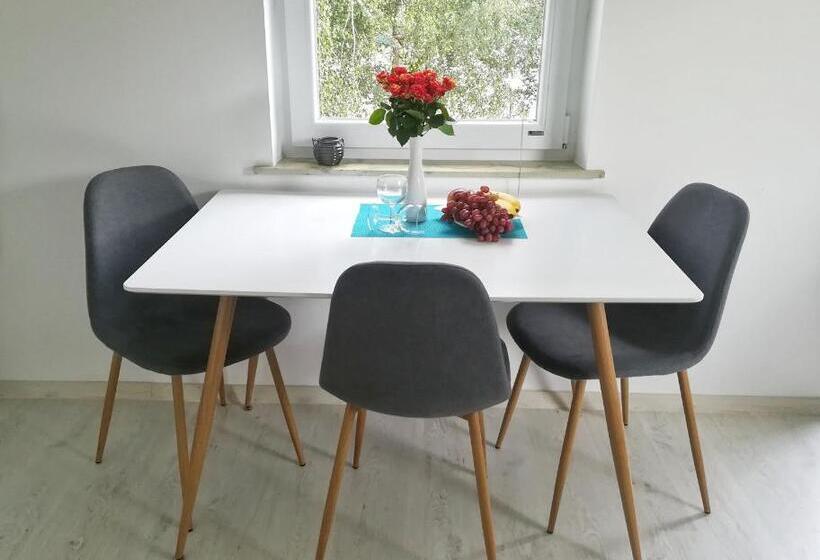 اتاق استاندارد, Apartments & Rooms Saša