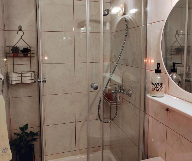 اتاق استاندارد, Apartments & Rooms Saša