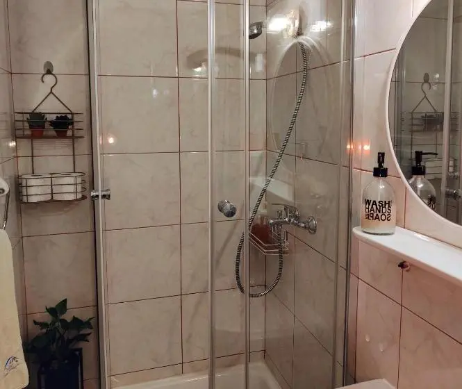 اتاق استاندارد, Apartments & Rooms Saša