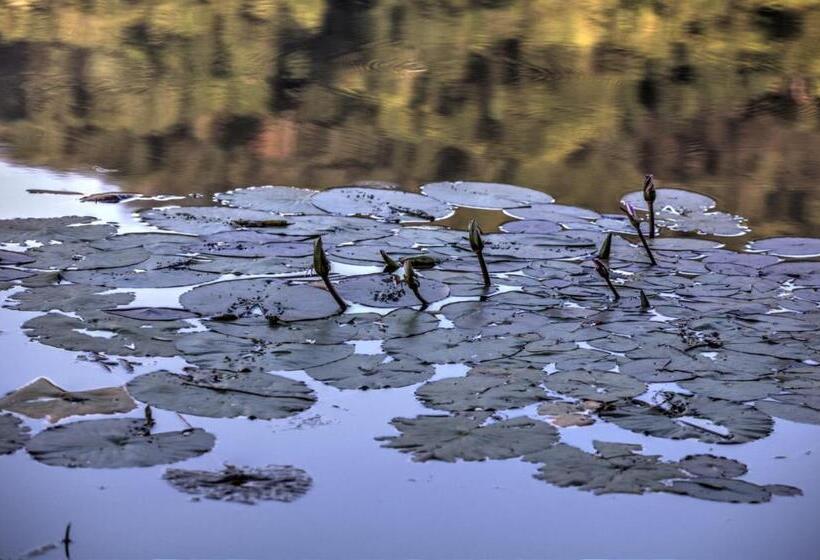 בית, חדר שינה 1, Pavetta Country House