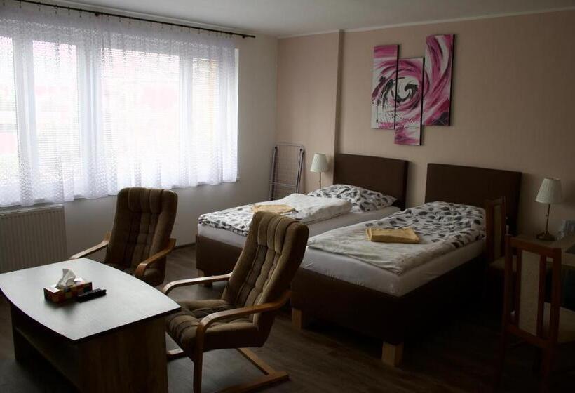 اتاق استاندارد, Penzion Pavel