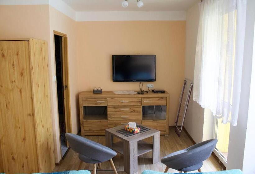 اتاق استاندارد با بالکن, Penzion Pavel