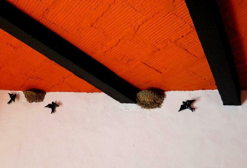 스탠다드 룸, Pátio Das Andorinhas