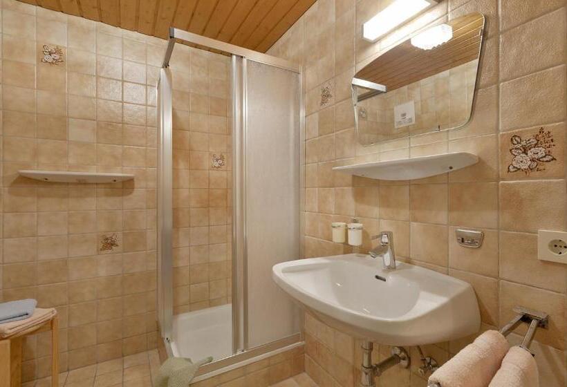 Апартаменты 1 Спальня, Apartments Ellmau Im Sternhof