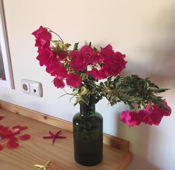 スタンダードルーム, Higos Chumbos, Casa Rural Compartido