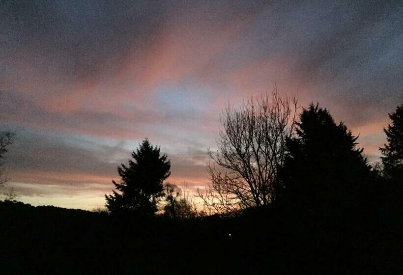 חדר סטנדרט, Vingt Vieux Bourg