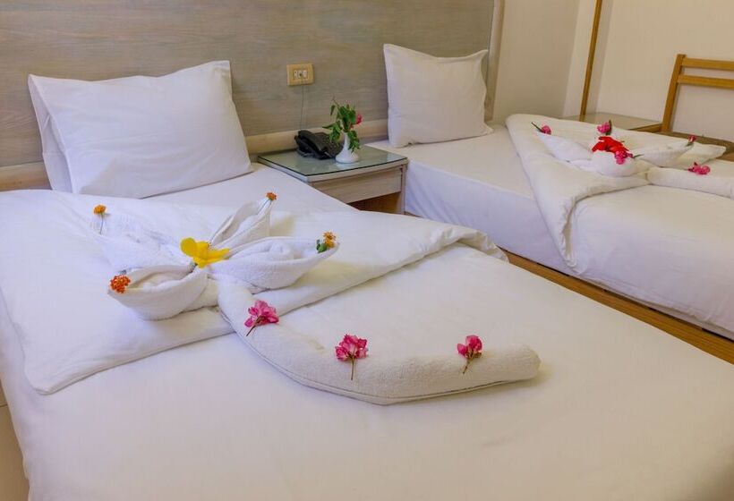 Klassisches Zimmer, Acacia Dahab