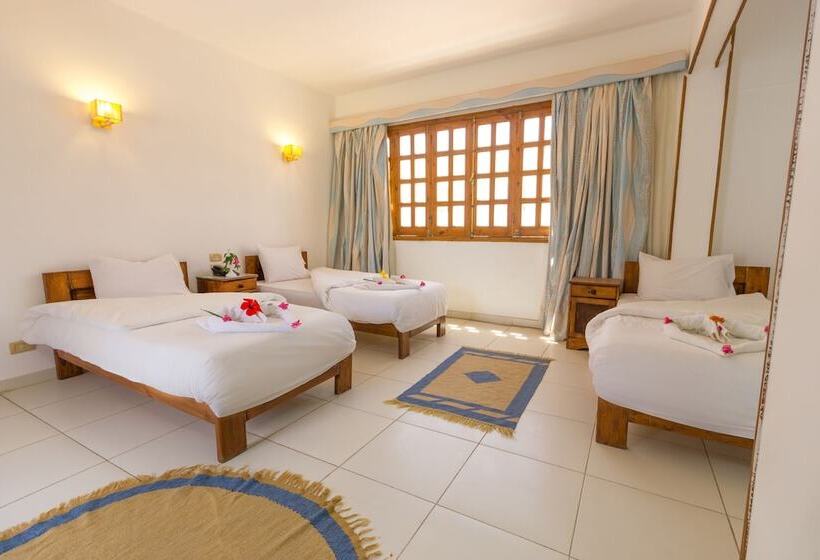 3 Bett Klassisches Zimmer, Acacia Dahab