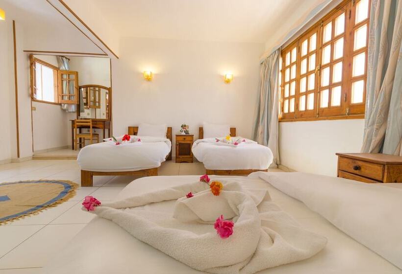 3 Bett Klassisches Zimmer, Acacia Dahab
