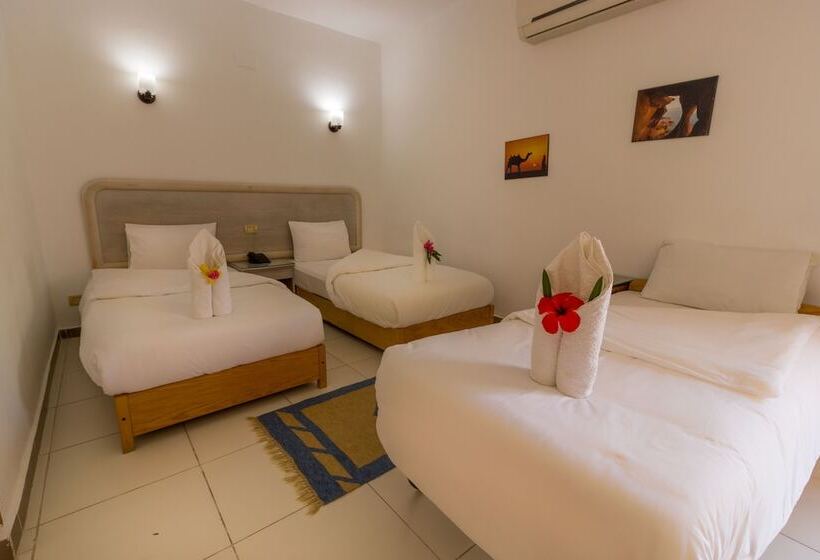 3 Bett Deluxe Zimmer, Acacia Dahab