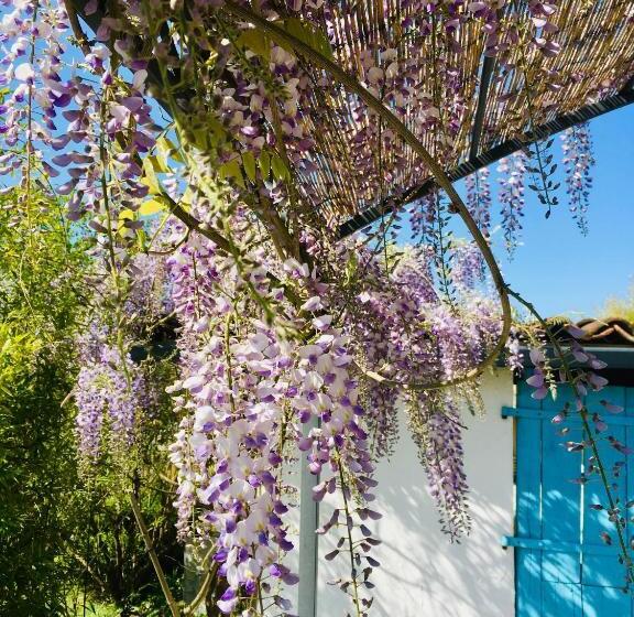 شقة 3 غرف, Les Didascalies