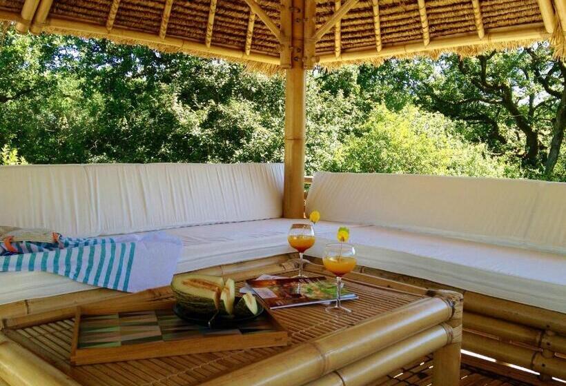 شقة غرفتين, Les Didascalies