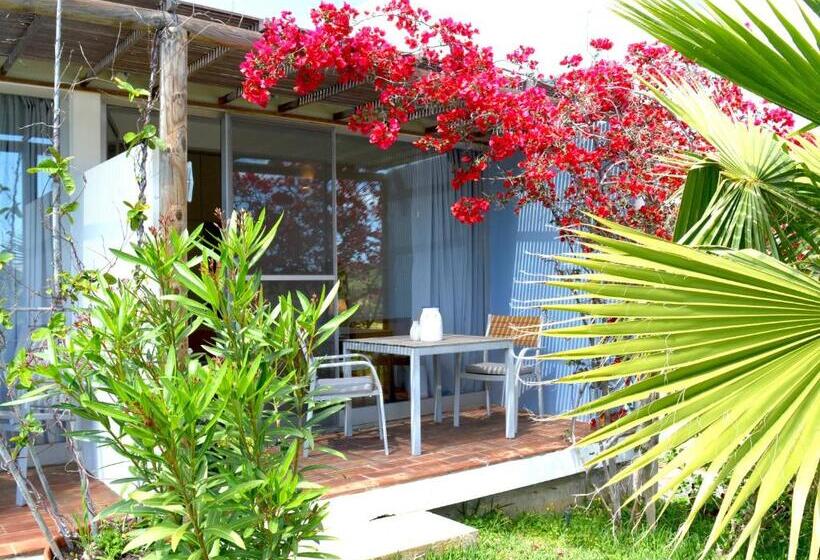 キングサイズベッドのスタンダードルーム, Quinta Luz Do Sol