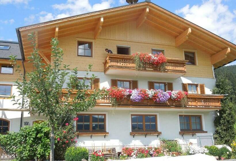 חדר סטנדרט עם מרפסת, Filzerlehen