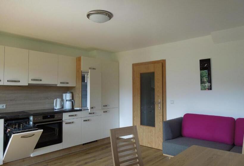 דירה בת חדר שינה 1 עם נוף, Filzerlehen