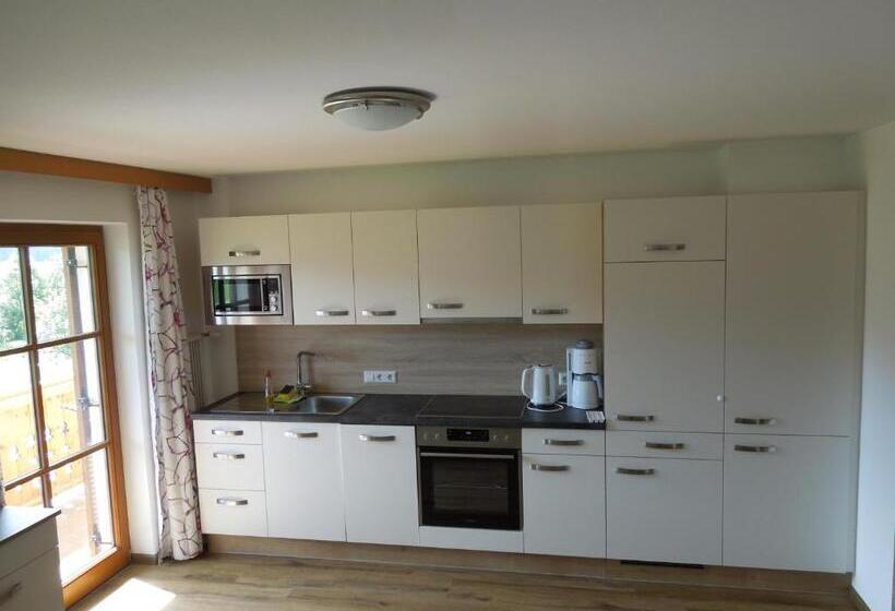 דירה בת חדר שינה 1 עם נוף, Filzerlehen