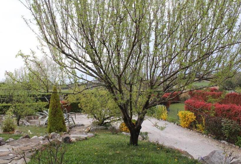 شقة غرفة واحدة, A Cjase Di Sandra