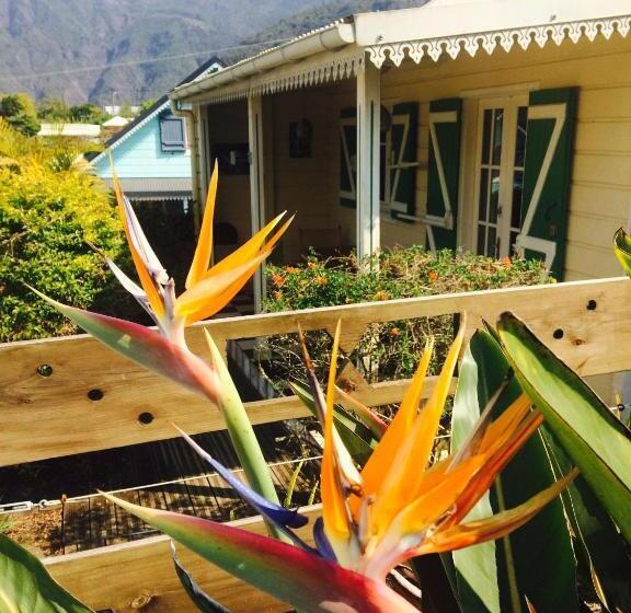 带大床的标准间, Case Nyala