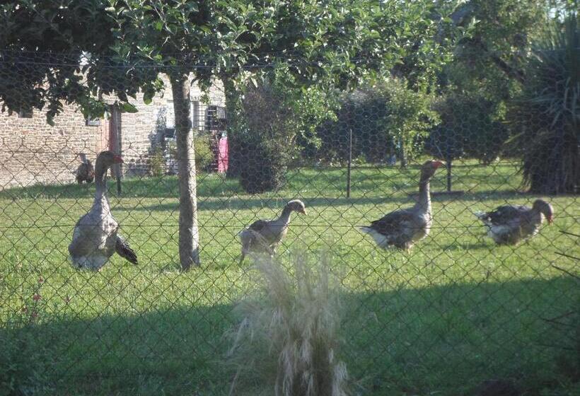 스탠다드 스튜디오 (테라스구비), Les Colombes De La Baie Du Mont Saint Michel