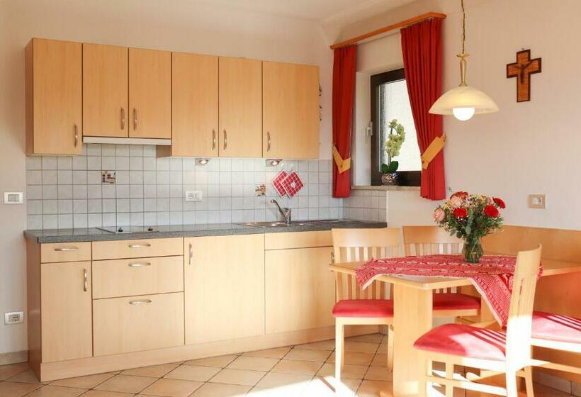 带1个卧室带观景的公寓, Alpegger