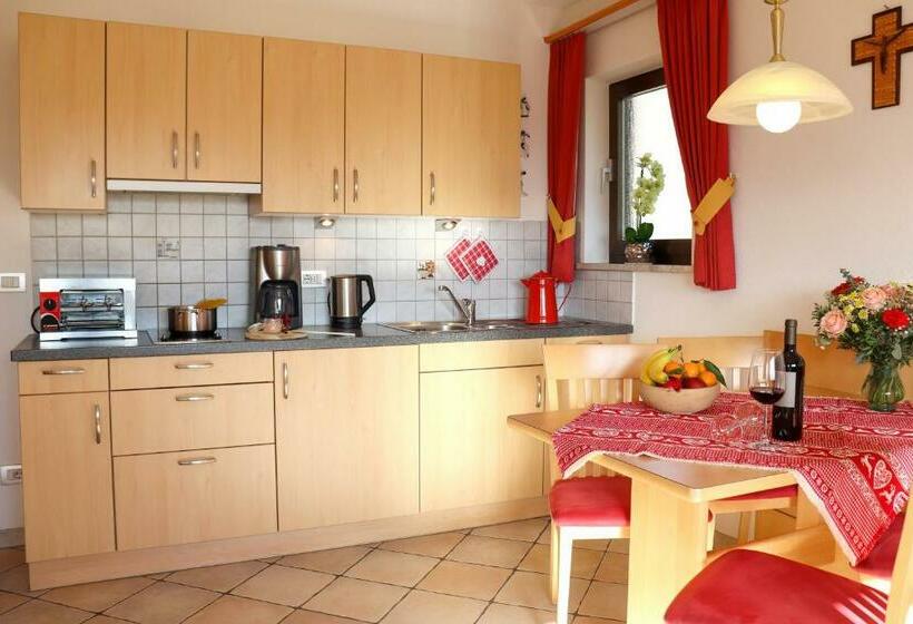 带1个卧室带观景的公寓, Alpegger