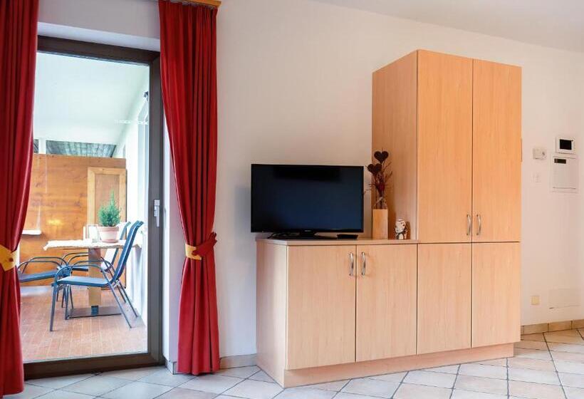 带1个卧室带观景的公寓, Alpegger