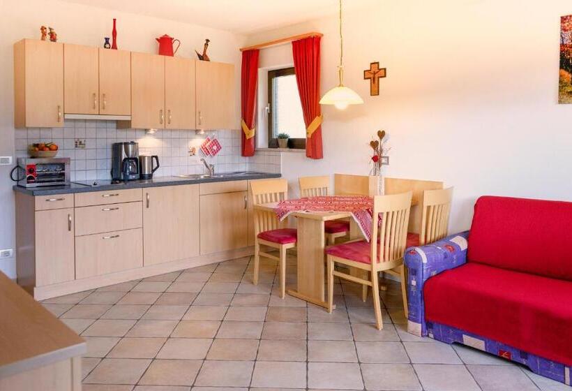 带1个卧室带观景的公寓, Alpegger