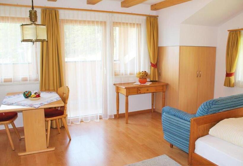 带2个卧室的公寓, Alpegger