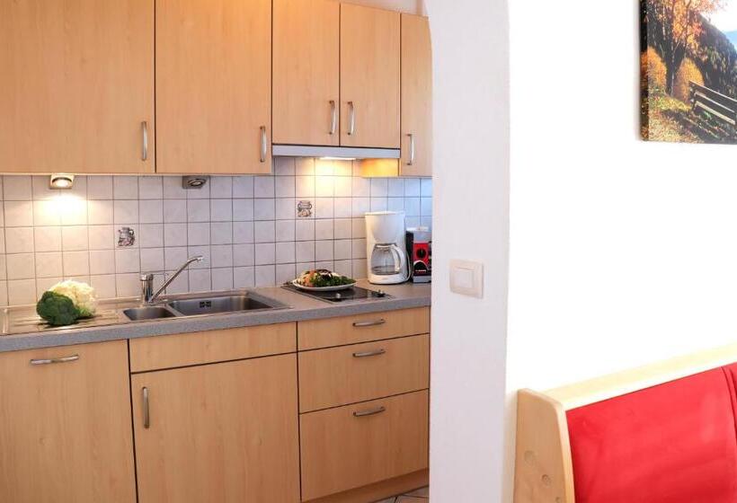 带1个卧室的带阳台的公寓, Alpegger