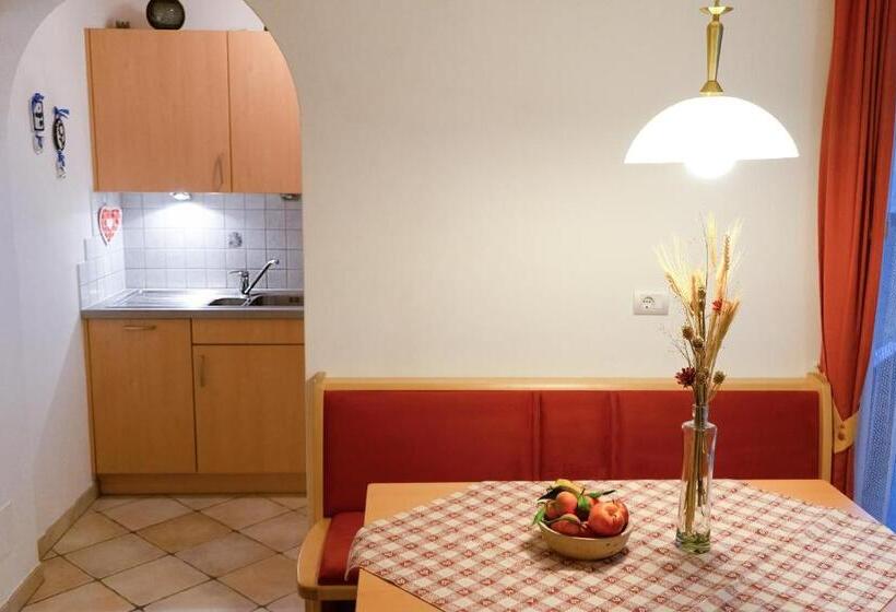 带1个卧室的带阳台的公寓, Alpegger