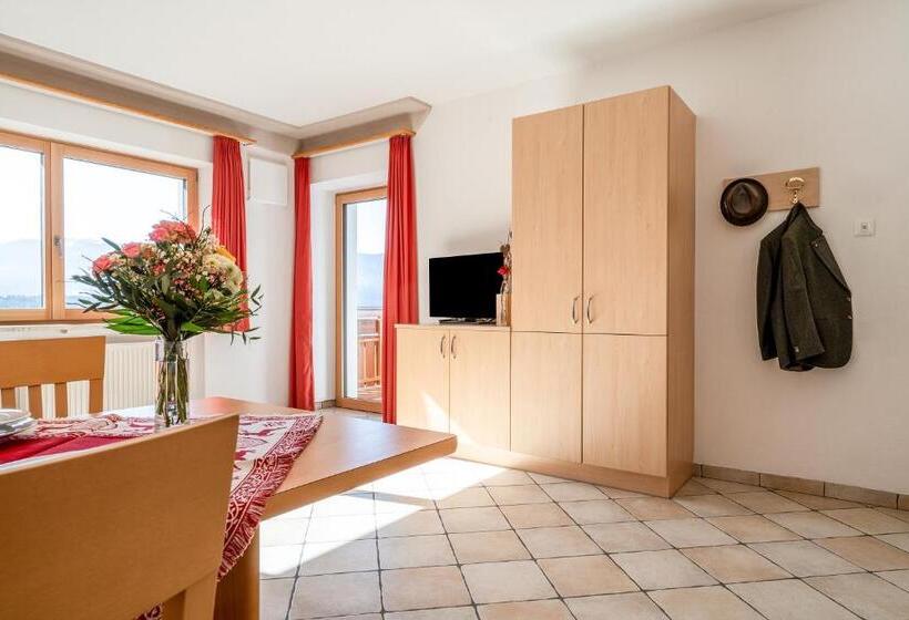 带1个卧室带观景的公寓, Alpegger