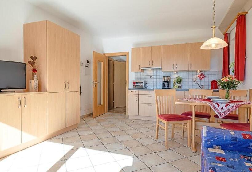 带1个卧室带观景的公寓, Alpegger