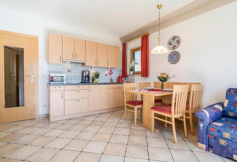 带1个卧室带观景的公寓, Alpegger