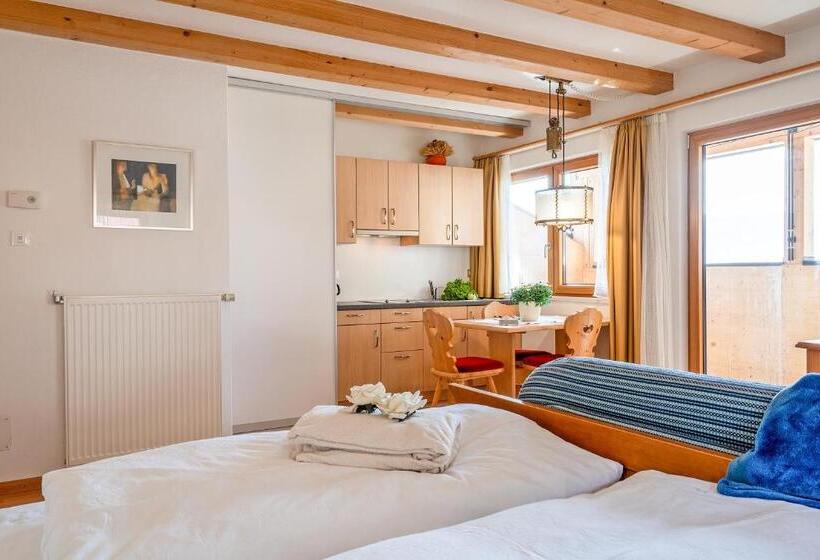 带2个卧室的公寓, Alpegger