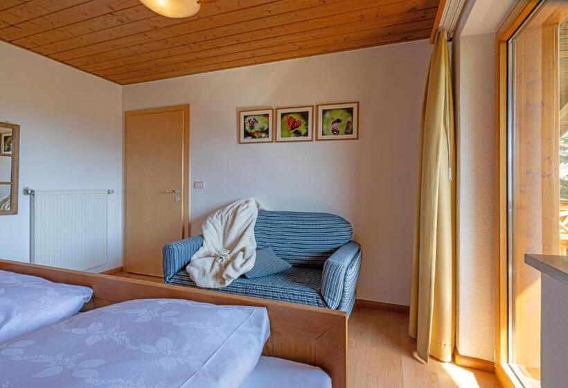Апартаменты 2 Спальни, Alpegger