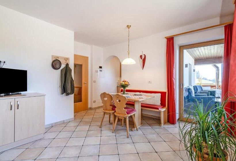 带1个卧室的带阳台的公寓, Alpegger