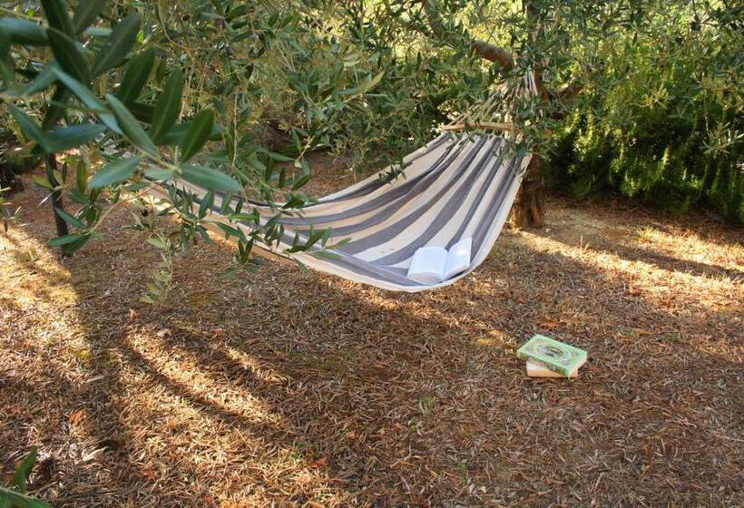 Apartamento 1 Dormitório com Terraço, Bio Agriturismo Montemenardo Apartments