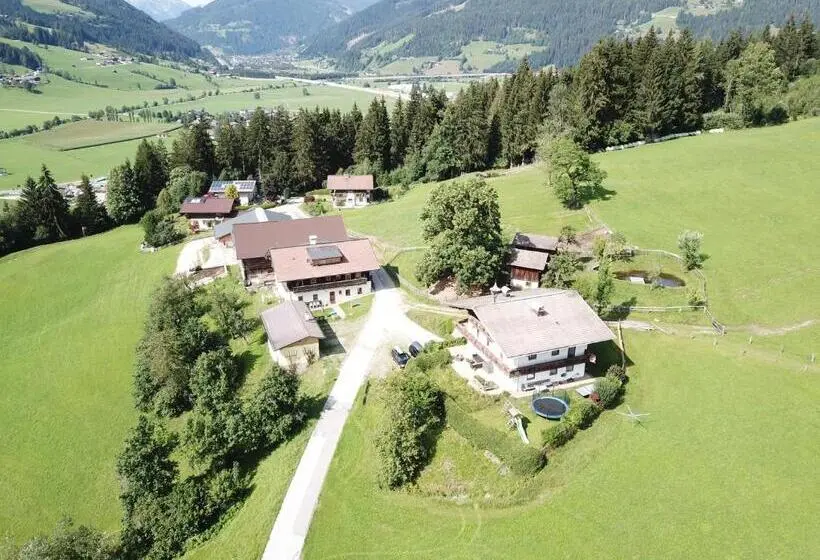 آپارتمان 1 خوابه با چشمانداز باغ, Steinerbauer