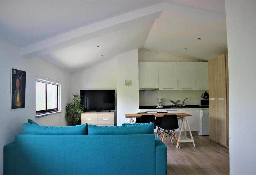 חדר סטודיו סטנדרד, Infusion