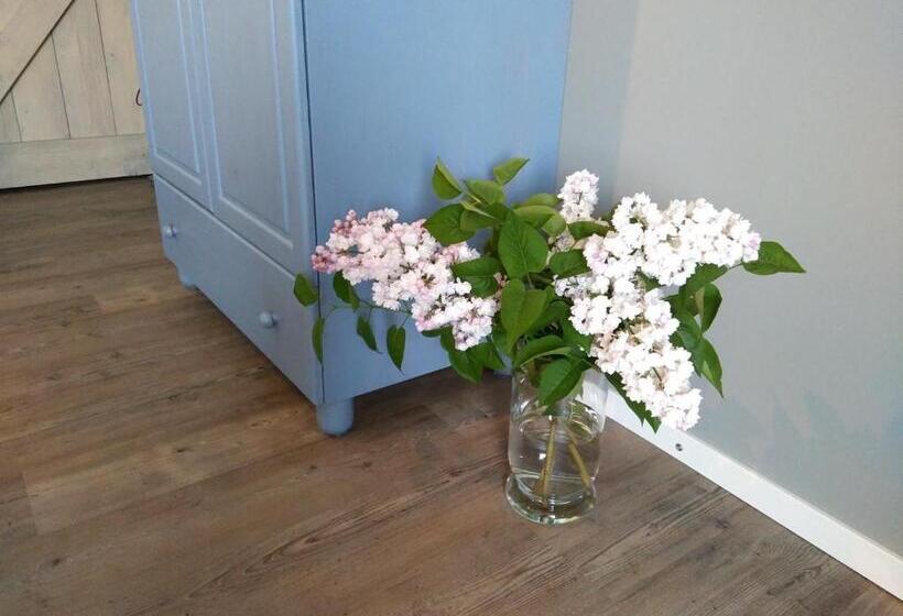 标准间, Langs De Maas