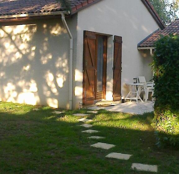 패밀리 스튜디오, Les écureuils