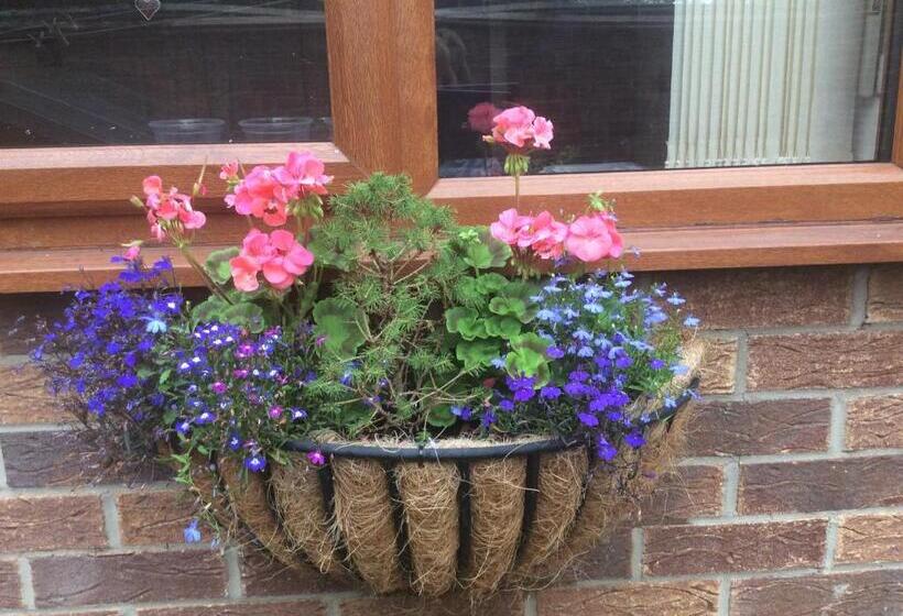 חדר סטנדרט, Sunnyside Annexe