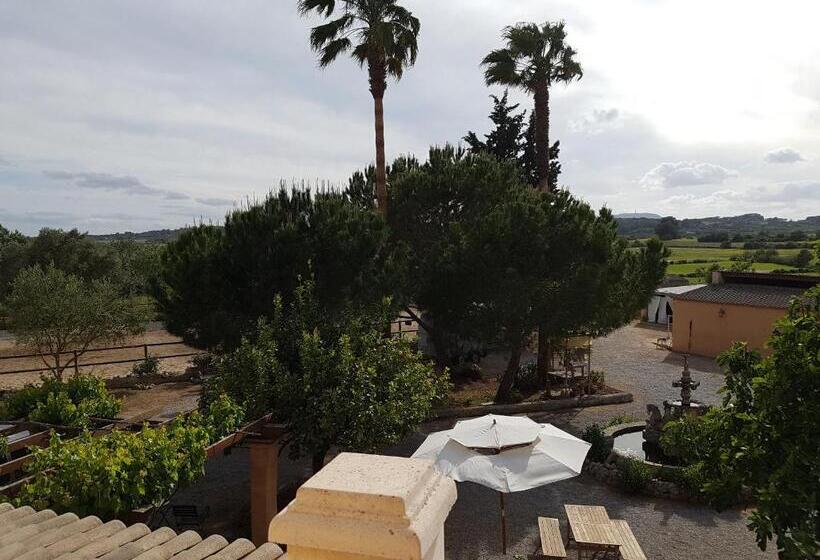 ベーシックルーム, Finca Caballo Blanco