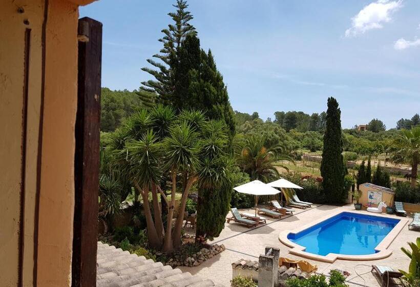 ベーシックルーム, Finca Caballo Blanco