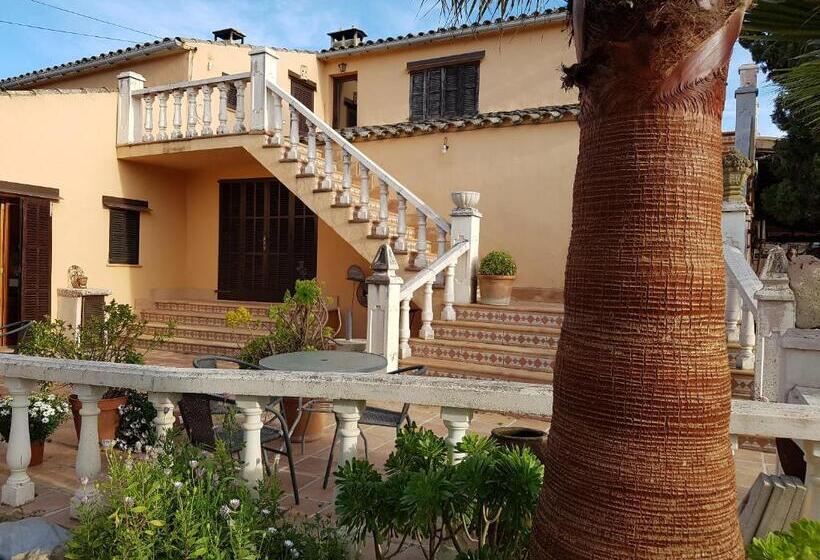 デラックスルーム, Finca Caballo Blanco