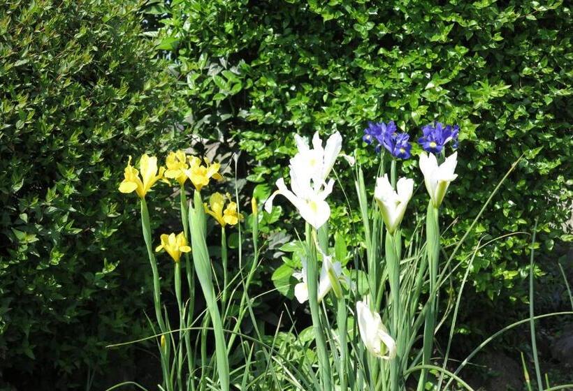 ファミリーステューディオ, Biancocancello