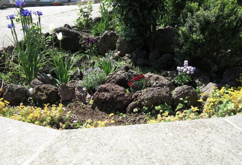 ファミリーステューディオ, Biancocancello