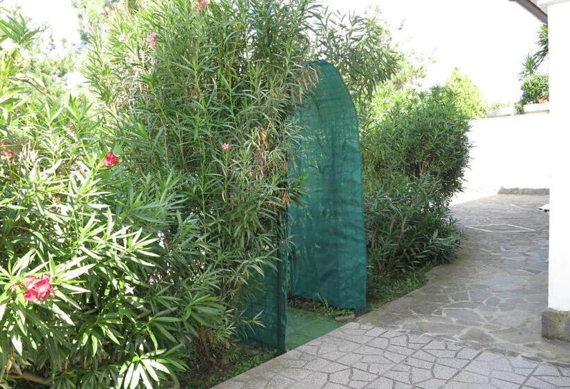 ファミリーステューディオ, Biancocancello